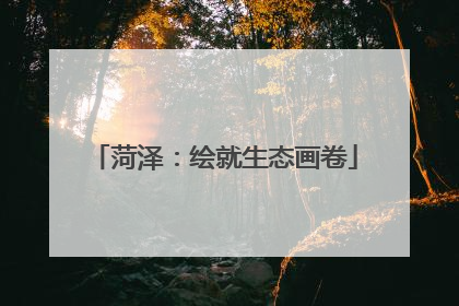 菏泽：绘就生态画卷