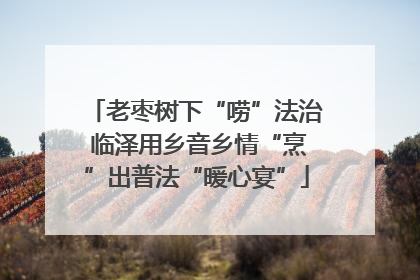 老枣树下“唠”法治 临泽用乡音乡情“烹”出普法“暖心宴”