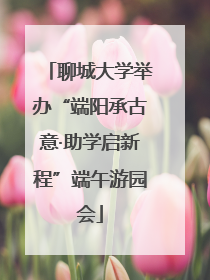 聊城大学举办“端阳承古意·助学启新程”端午游园会