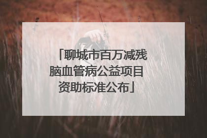 聊城市百万减残脑血管病公益项目资助标准公布
