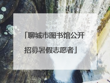 聊城市图书馆公开招募暑假志愿者