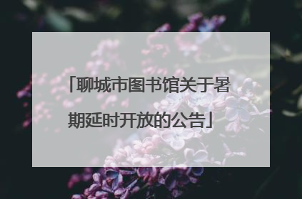 聊城市图书馆关于暑期延时开放的公告