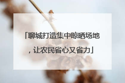 聊城打造集中晾晒场地，让农民省心又省力