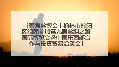 聚焦丝博会丨榆林市榆阳区组团参加第九届丝绸之路国际博览会暨中国东西部合作与投资贸易洽谈会