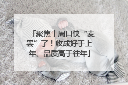 聚焦丨周口快“麦罢”了！收成好于上年、品质高于往年