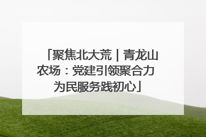 聚焦北大荒｜青龙山农场：党建引领聚合力 为民服务践初心
