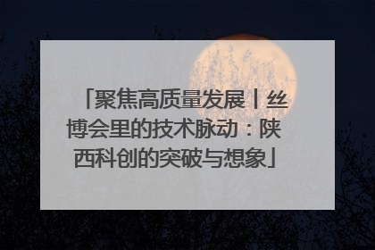 聚焦高质量发展丨丝博会里的技术脉动：陕西科创的突破与想象