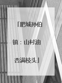 肥城孙伯镇：山村油杏满枝头