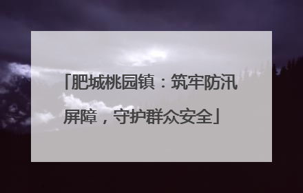 肥城桃园镇：筑牢防汛屏障，守护群众安全