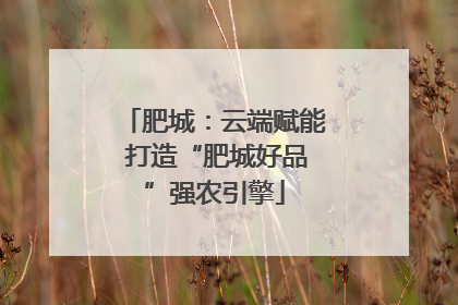 肥城：云端赋能 打造“肥城好品”强农引擎