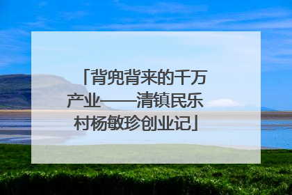 背兜背来的千万产业——清镇民乐村杨敏珍创业记