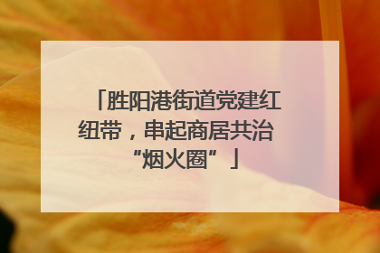 胜阳港街道党建红纽带，串起商居共治 “烟火圈”
