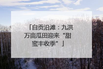 自贡沿滩：九洪万亩瓜田迎来“甜蜜丰收季”