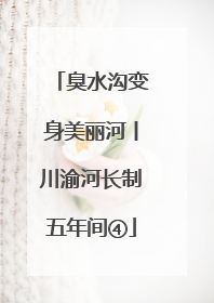 臭水沟变身美丽河丨川渝河长制五年间④