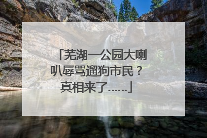 芜湖一公园大喇叭辱骂遛狗市民？真相来了……
