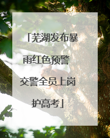 芜湖发布暴雨红色预警 交警全员上岗护高考
