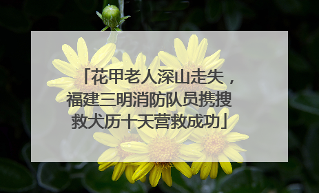花甲老人深山走失，福建三明消防队员携搜救犬历十天营救成功