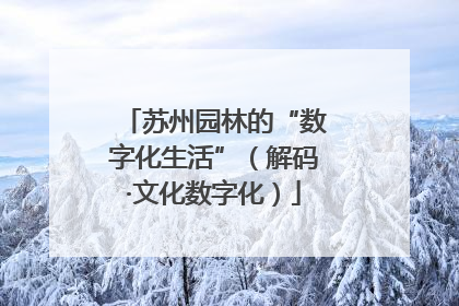 苏州园林的“数字化生活”（解码·文化数字化）