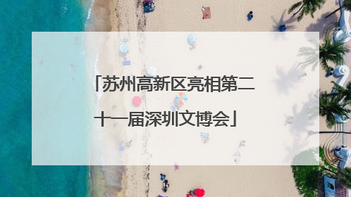 苏州高新区亮相第二十一届深圳文博会