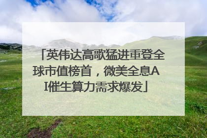 英伟达高歌猛进重登全球市值榜首，微美全息AI催生算力需求爆发