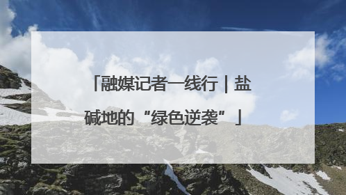 融媒记者一线行｜盐碱地的“绿色逆袭”