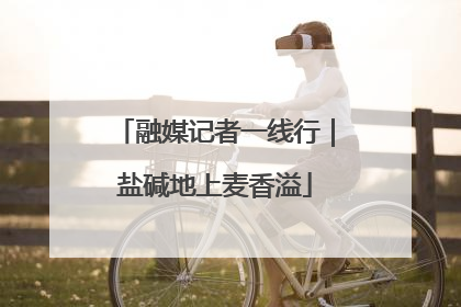 融媒记者一线行｜盐碱地上麦香溢