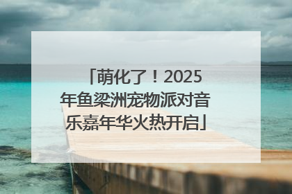 萌化了！2025年鱼梁洲宠物派对音乐嘉年华火热开启