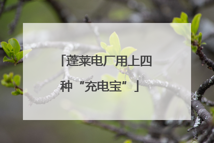 蓬莱电厂用上四种“充电宝”
