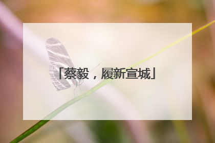 蔡毅，履新宣城