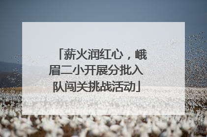 薪火润红心，峨眉二小开展分批入队闯关挑战活动