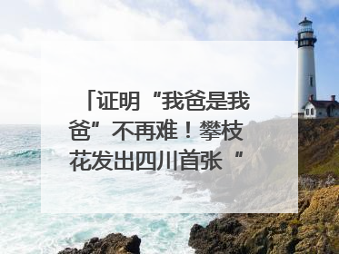 证明“我爸是我爸”不再难！攀枝花发出四川首张“户籍人口直系亲属关系谱”