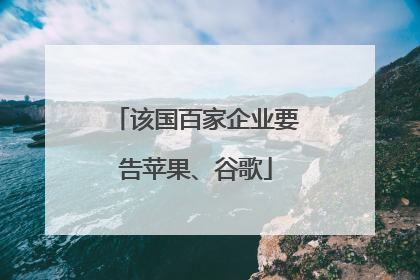 该国百家企业要告苹果、谷歌