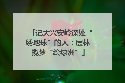 记大兴安岭深处“绣地球”的人：层林揽梦“绘绿洲”