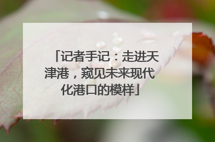 记者手记：走进天津港，窥见未来现代化港口的模样