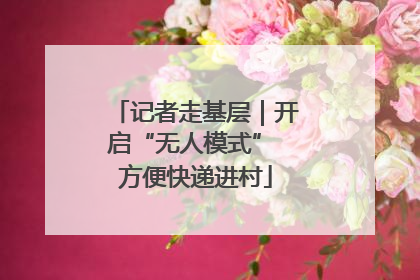 记者走基层｜开启“无人模式” 方便快递进村