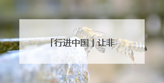 行进中国丨让非遗融入现代生活
