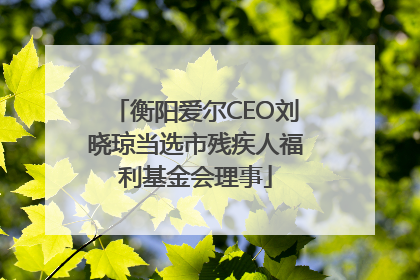 衡阳爱尔CEO刘晓琼当选市残疾人福利基金会理事