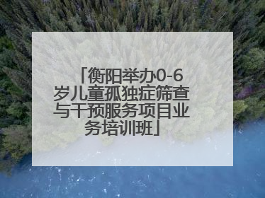 衡阳举办0-6岁儿童孤独症筛查与干预服务项目业务培训班