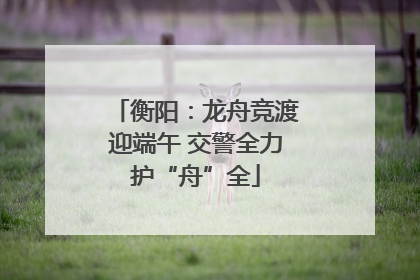 衡阳：龙舟竞渡迎端午 交警全力护“舟”全