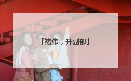 褚伟，升副部