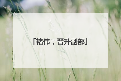 褚伟，晋升副部