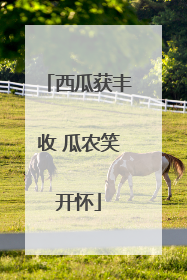 西瓜获丰收 瓜农笑开怀
