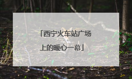 西宁火车站广场上的暖心一幕