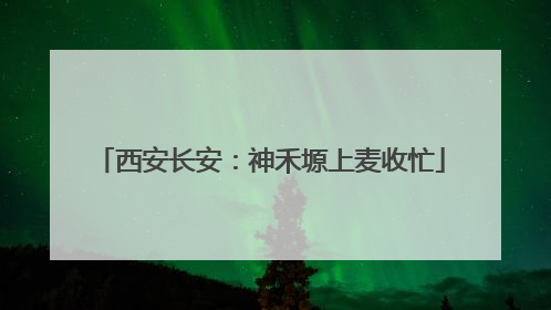 西安长安：神禾塬上麦收忙