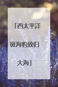 西太平洋斑海豹放归大海