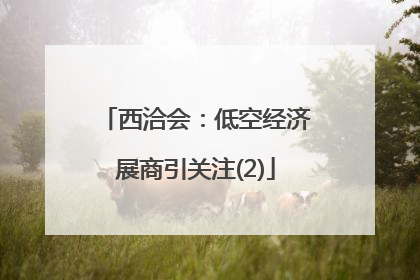 西洽会：低空经济展商引关注(2)