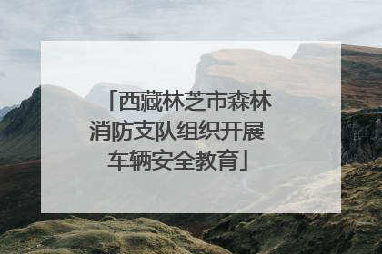 西藏林芝市森林消防支队组织开展车辆安全教育