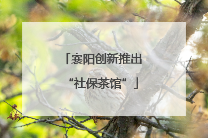 襄阳创新推出“社保茶馆”