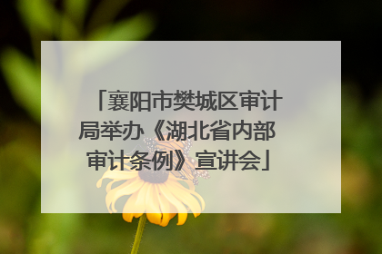 襄阳市樊城区审计局举办《湖北省内部审计条例》宣讲会