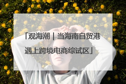 观海潮｜当海南自贸港遇上跨境电商综试区